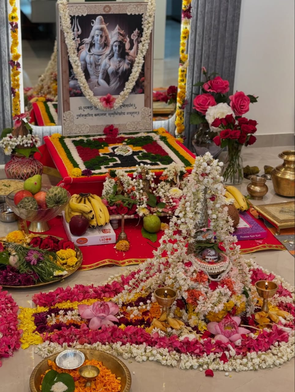 Maha Rudra Abhishek Puja at Trimbakeshwar Jyotirlinga by Pandit Ji — महा रुद्र अभिषेक